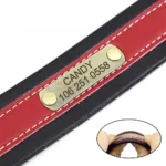 collar-de-perro-con-numero-5-1