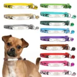 collar-de-perro-con-numero-grabado-1-1