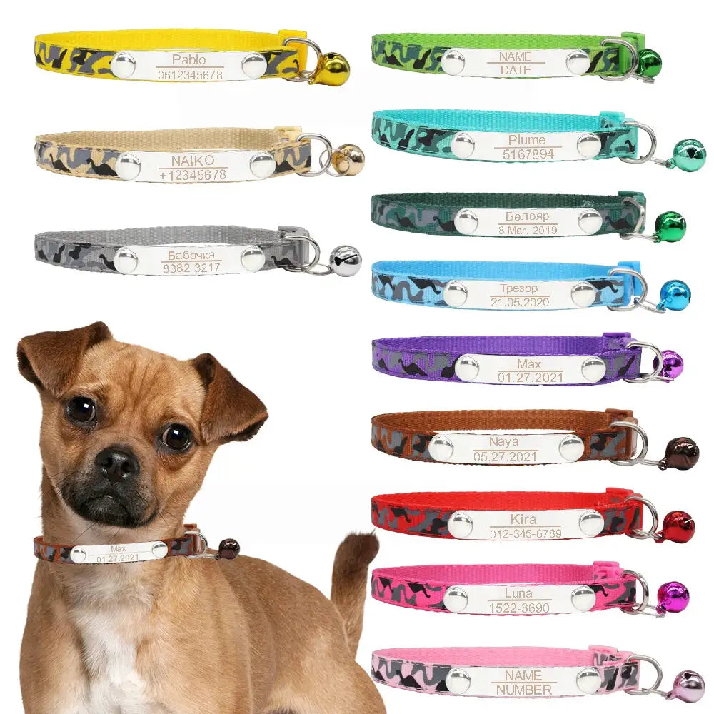 collar-de-perro-con-numero-grabado-1-1