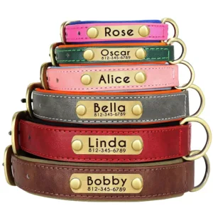 collar-de-perro-con-placa-grabada-1-1