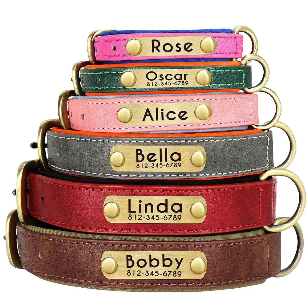 collar-de-perro-con-placa-grabada-1-1