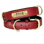 collar-de-perro-con-placa-grabada-3-1