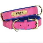 collar-de-perro-con-placa-grabada-5-1