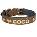 collar-de-perro-con-strass-3-1