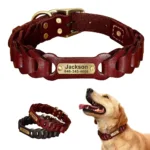 collar-de-perro-de-caza-grabado-5-1