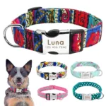 collar-de-perro-personalizado-con-numero-1-1