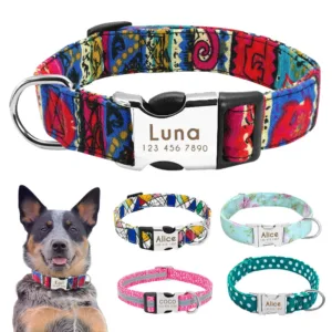 collar-de-perro-personalizado-con-numero-1-1