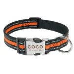 collar-de-perro-personalizado-con-numero-10-1
