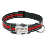 collar-de-perro-personalizado-con-numero-11-1