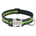 collar-de-perro-personalizado-con-numero-12-1