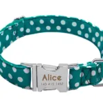collar-de-perro-personalizado-con-numero-17-1