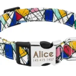 collar-de-perro-personalizado-con-numero-2-1