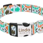 collar-de-perro-personalizado-con-numero-3-1