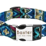 collar-de-perro-personalizado-con-numero-6-1