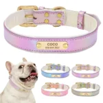collar-fluo-perro-personalizado-1-1