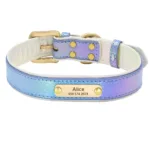 collar-fluo-perro-personalizado-2-1