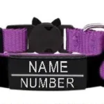 Collar Gatito con Nombre - Photo 10