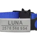 Collar Gatito con Nombre - Photo 12