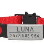 Collar Gatito con Nombre - Photo 13
