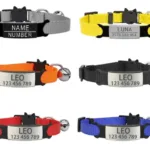 Collar Gatito con Nombre - Photo 14