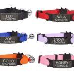 Collar Gatito con Nombre - Photo 2