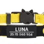 Collar Gatito con Nombre - Photo 4