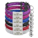 Collar Gato Antiahogo Personalizado - Photo 8