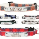 Collar Gato Personalizable - Photo 1