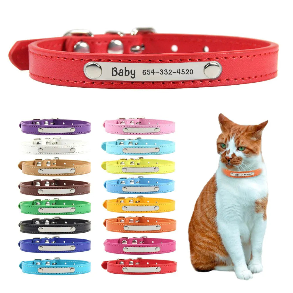 Collar Gato Personalizado - Photo 1