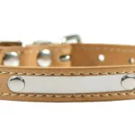 Collar Gato Personalizado - Photo 11