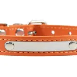 Collar Gato Personalizado - Photo 14