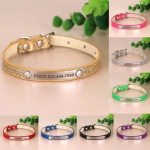 Collar Gatos Personalizado - Photo 1