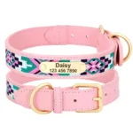 Collar Nylon Perro Personalizado - Photo 2
