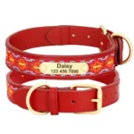 Collar Nylon Perro Personalizado - Photo 6