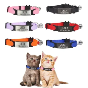 collar-para-gato-personalizado-1-1