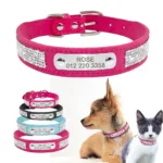 Collar para Gato Personalizado - Photo 1