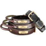 collar-para-perro-de-caza-grabado-5-1