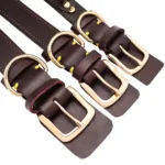 collar-para-perro-de-caza-grabado-6-1