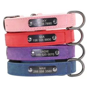 collar-para-perro-grande-personalizado-1-1