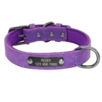 collar-para-perro-grande-personalizado-3-1