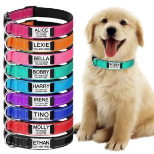 collar-para-perro-personalizado-1-1
