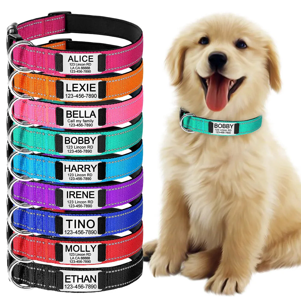 collar-para-perro-personalizado-1-1