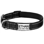 collar-para-perro-personalizado-3-1