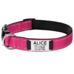 collar-para-perro-personalizado-5-1
