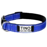 collar-para-perro-personalizado-7-1
