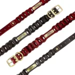 Collar Perro Caza Personalizado - Photo 4