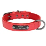Collar Perro con Nombre Personalizado - Photo 2