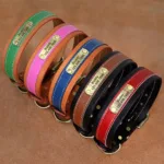Collar Perro Cuero Personalizado - Photo 1