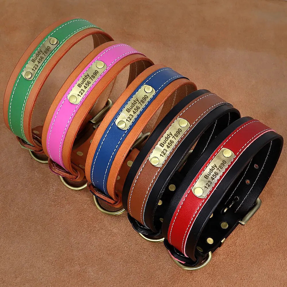Collar Perro Cuero Personalizado - Photo 1
