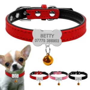collar-perro-pequeno-personalizado-1-1